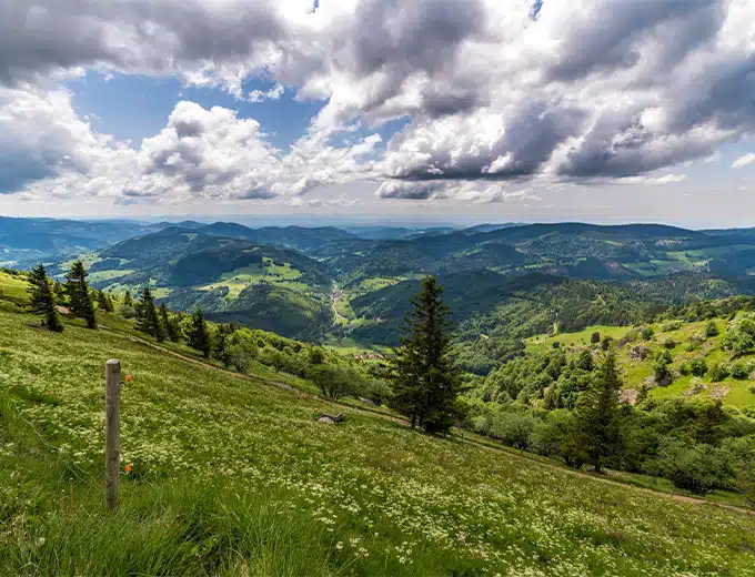 Geniesserpfad Belchensteig - Wanderung Münstertal