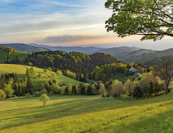 Blick über das Münstertal mit Wiesen, Wäldern und Schwarzwaldhöhen